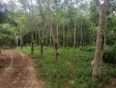 ขายที่ดิน - สวนผสมติดถนนใหญ่สายหลัก เหมาะทำการเกษตรต่อยอด หรือพัฒนาเป็นสวนทุเรียน เพราะด้านหลังติดลำห้วย น้ำดีตลอดปี อากาศบริสุทธิ์มาก