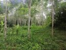 ขายที่ดิน - สวนผสมติดถนนใหญ่สายหลัก เหมาะทำการเกษตรต่อยอด หรือพัฒนาเป็นสวนทุเรียน เพราะด้านหลังติดลำห้วย น้ำดีตลอดปี อากาศบริสุทธิ์มาก