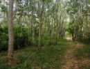 ขายที่ดิน - สวนผสมติดถนนใหญ่สายหลัก เหมาะทำการเกษตรต่อยอด หรือพัฒนาเป็นสวนทุเรียน เพราะด้านหลังติดลำห้วย น้ำดีตลอดปี อากาศบริสุทธิ์มาก