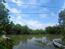 ขายที่ดิน - ขายที่ดิน ท่าข้าม บางขุนเทียน เหมาะทำนากุ้ง 383.4 ตร.วา ราคาถูกเพียง 9.9 แสน