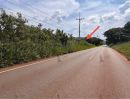 ขายที่ดิน - ขาย ที่ดินสวย ติดถนน ใกล้เขาใหญ่และแหล่งท่องเที่ยวต่างๆ