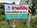 ขายที่ดิน - ขายที่ดินเนื้อที่ 36 ตร.ว. ตลาดบางแก้ว ต.ท่ามะเดื่อ อ.บางแก้ว จ.พัทลุง
