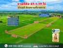 ขายที่ดิน - ที่ดินแปลงใหญ่ 37-1-19 ไร่ ต. ดอนโพธิ์ อ.เมือง จ.ลพบุรี