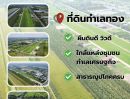 ขายที่ดิน - ขายที่ดินแปลงสวย ทำเลทอง คลอง 11 หนองเสือ จังหวัดปทุมธานี