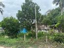 ขายที่ดิน - ขายที่ดินบ้านหนองเลง หนองขาม 200 ตรว. ใกล้นิคมปิ่นทอง10กม. อ.ศรีราชา ชลบุรี