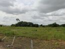 ขายที่ดิน - ขายที่ดินหลังนิคมปิ่นทอง หนองขาม 4 ไร่ ซอยหนองยายบู่-ท่อน้ำ ใกล้ท่าเรือแหลมฉบัง-10กม. อ.ศรีราชา ชลบุรี