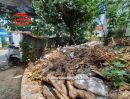 ขายที่ดิน - ที่ดิน ซอยอ่อนนุช 70 แยก 3 เนื้อที่ 73 ตรว. ถนนอ่อนนุช เขตประเวศ