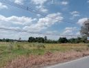 ขายที่ดิน - ขายที่ดินระยอง นิคมพัฒนา 130-2-8ไร่ ติดถนนทับมา-หนองผักหนาม เหมาะสำหรับทำ โรงงาน โกดัง คลังสินค้า บ้านจัดสรร