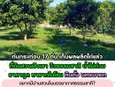 ขายที่ดิน - ขายที่ดินเชิงเขา หินตั้ง-นครนายก วิวสวย น้ำไม่ท่วม ที่ดินพร้อมสวนผลไม้ ทำเลศักยภาพ เหมาะปลูกบ้าน / Home Stay / Pool Villa