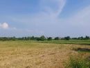 ขายที่ดิน - ขายที่ดินบึง ศรีราชา แปลงสวย ทำเลดี ใกล่ท่าเรือแหลมฉบัง