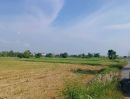 ขายที่ดิน - ขายที่ดินบึง ศรีราชา แปลงสวย ทำเลดี ใกล่ท่าเรือแหลมฉบัง