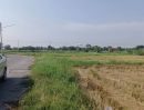ขายที่ดิน - ขายที่ดินบึง ศรีราชา แปลงสวย ทำเลดี ใกล่ท่าเรือแหลมฉบัง