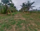 ขายที่ดิน - ขาย ที่ดินเปล่า หนองขอน ใกล้ซ.หม่อนไหม ไม่ไกลจากสถานที่ท่องเที่ยวและท่าอากาศยานหัวหิน
