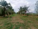 ขายที่ดิน - ขาย ที่ดินเปล่า หนองขอน ใกล้ซ.หม่อนไหม ไม่ไกลจากสถานที่ท่องเที่ยวและท่าอากาศยานหัวหิน