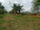 ขายที่ดิน - ขาย ที่ดินเปล่า หนองขอน ใกล้ซ.หม่อนไหม ไม่ไกลจากสถานที่ท่องเที่ยวและท่าอากาศยานหัวหิน