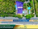 ขายที่ดิน - ขายที่ดินศรีราชา บางพระ ทำเลดี บนทำเลศักยภาพ ติดถนนสุขุมวิท