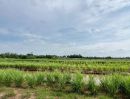 ขายที่ดิน - ที่ดินคลอง 13 หนองเสือ หลังเทศบาล ลดราคาจุกๆ