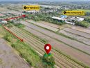 ขายที่ดิน - ที่ดินคลอง 13 หนองเสือ หลังเทศบาล ลดราคาจุกๆ