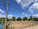 ขายที่ดิน - ที่ดินถมแล้วพร้อมสร้างบ้าน สาธารณูปโภคครบ คลอง 11 อ.หนองเสือ จ.ปทุมธานี