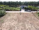 ขายที่ดิน - ที่ดินถมแล้วพร้อมสร้างบ้าน สาธารณูปโภคครบ คลอง 11 อ.หนองเสือ จ.ปทุมธานี