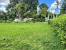 ขายที่ดิน - ขายที่ดินตำบลสุเทพติดถนนทำเลดีโฉนดพร้อมโอน