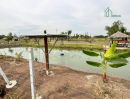 ขายที่ดิน - ที่ดินทำเลดี โครงการบ้านสวนคลอง 14 องครักษ์ นครนายก