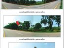 ขายที่ดิน - ขายที่ดิน 31 ไร่ 1 งาน 4 ตารางวา เจ้าของขายเอง อำเภอหนองเรือ จังหวัดขอนแก่น