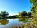 ขายที่ดิน - ขายที่ดินติดน้ำวิวคลอง 3 ไร่ องครักษ์ คลอง 15 หน้าน้ำวิวสวย ด้านหน้าติดถนนลาดยาง ทำเลค้าขาย เหมาะปลูกบ้านสวน ทำคาเฟ่ทำร้านอาหาร ทำรีสอร์ท