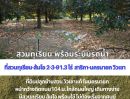 ขายที่ดิน - Rare Item! ขายที่ดินสวนทุเรียน-ส้มโอ วิวเขาโอบล้อม (เก็บผลได้แล้ว) พิกัดสาริกา-นครนายก ใกล้ถนนใหญ่เพียง 130 ม.