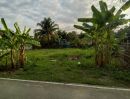 ขายที่ดิน - ขายที่ดินตำบลหางดงติดถนนคอนกรีตห่างถนนหลัก 500เมตร