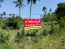 ขายที่ดิน - ขายด่วน! ที่ดินทำเลทอง ติดถนนใหญ่ ทับสะแก-หาดวนกร 12 ไร่เศษ เหมาะพัฒนาโครงการ น่าลงทุน