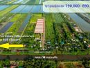 ขายที่ดิน - ขายที่ดินหนองเสือคลอง14 ถมแล้ว 200 ตรว เหมาะปลูกบ้าน ทำสวน ทำการเกษตร อยู่ใกล้แหล่งชุมชน