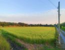 ขายที่ดิน - ขายที่ดิน 2-2-46 ไร่ ติดถนนใหญ่ ไทรน้อย ถนนกว้าง 10 ม.