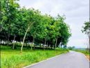  - ที่ดินพร้อมสวนยางพารา ติดถนนลาดยาง อ.เวียงสา น่าน