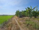 ขายที่ดิน - ที่ดินถมแล้ว แถวคลองตาคล้าย ไทรน้อย 200 ตร.ว. ใกล้โรงพยาบาลไทรน้อย