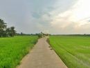  - ที่ดิน 10 ไร่ ต.บ้านไร่ อ.บางกระทุ่ม จ.พิษณุโลก