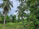  - ขายที่ดินสวยมะพร้าวสามร้อยยอด ประจวบคีรีขันธ์