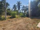  - ขายที่ดินสวยมะพร้าวสามร้อยยอด ประจวบคีรีขันธ์