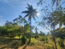  - ขายที่ดินสวยมะพร้าวสามร้อยยอด ประจวบคีรีขันธ์