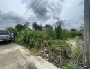 ขายที่ดิน - ขายที่ดินทำเลดีติดถนนสาธารณะ 100 ตารางวา เหมาะสร้างบ้านขาย