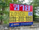  - ขายที่ดิน 2-0-50 ไร่ ซอยทุ่งกลม-ตาลหมัน ห้วยใหญ่ ชลบุรี ZT867