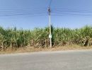  - ขาย ที่ดินแปลงใหญ่ ติดถนนลาดยาง ต.วังขนาย อ.ท่าม่วง จ.กาญจนบุรี