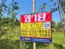  - ขายที่ดิน 8-0-42 ไร่ ใกล้สวนพระพิฆเนศ ตะเคียนเตี้ย บางละมุง ชลบุรี ZT865