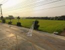  - ขายที่ดิน 26 ไร่ หนองเพรางาย บางบัวทอง ติดถนนบ้านคลองเจ้า ทำเลดี เดิมเป็นที่นา ขายด่วน ลดราคาสุด ๆ ถ้าราคาได้ พร้อมจบ