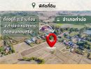  - ขายที่ดินเปล่า 2 แปลงติดกัน 8ไร่ 1งาน 62 ตร.ว. ติดถนนคอนกรีต ทำเลทอง ท่าบ่อ หนองคาย