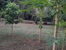  - ขายที่สวนลำใยตำบลน้ำแพร่หางดงถมดินเรียบร้อยพร้อมโอน