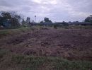  - ขายที่ดินในตัวเมืองบางคล้าเนื้อที่ 4 ไร่ ติดถนน2ด้านซอยซ.ราษฎรอุทิศ หลังการประปา อ.บางคล้า จ.ฉะเชิงเทรา