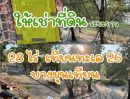  - ให้เช่าที่ดิน 28 ไร่ เทียนทะเล 26 บางขุนเทียน รั้วล้อมรอบ มีต้นไม้ใหญ่ สระน้ำตรงกลาง ทำเลเยี่ยม ให้เช่าระยะยาว ค่าเช่าถูกมาก