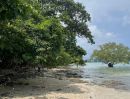 - ขายที่ดินทำเลดี ติดหาด370 เมตร เกาะโหลน จังหวัดภูเก็ต