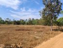  - ขายด่วนที่ดินแปลงสวย ต.หนองบก อ.เหล่าเสือโก้ก จ.อุบลราชธานี